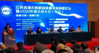 BAT365线上平台电保受邀参加江西省城市照明高质量发展高峰论坛